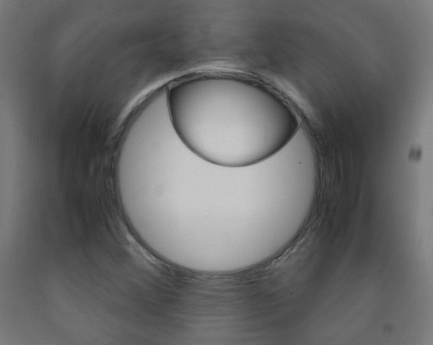 X0000093231356200709261500