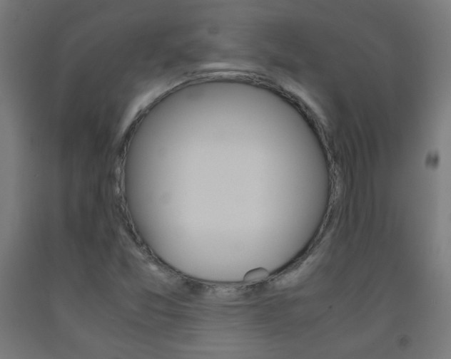 X0000093231357200709261500