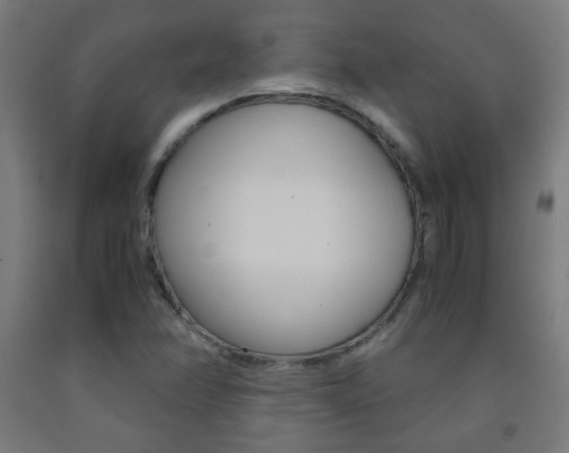 X0000093231358200709261500