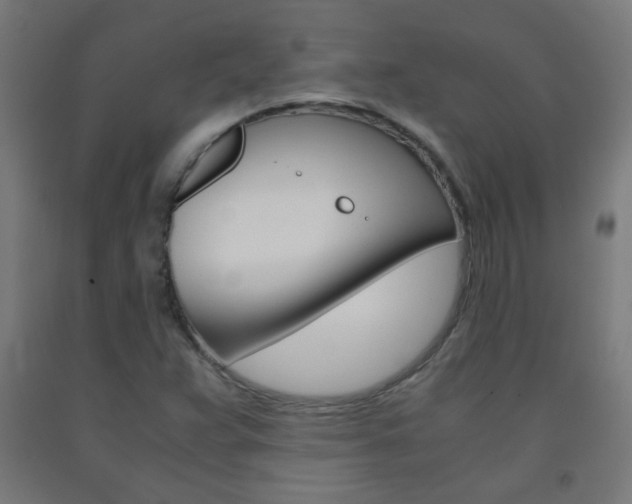 X0000093231359200709261500