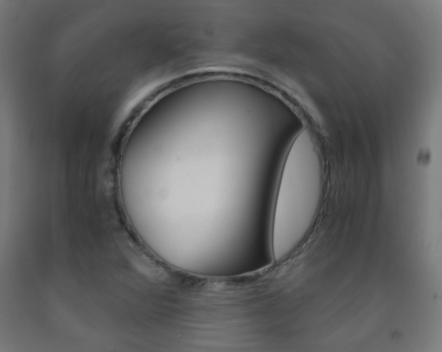 X0000093231360200709261500