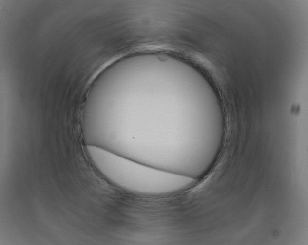 X0000093231361200709261500