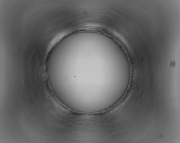 X0000093231362200709261500
