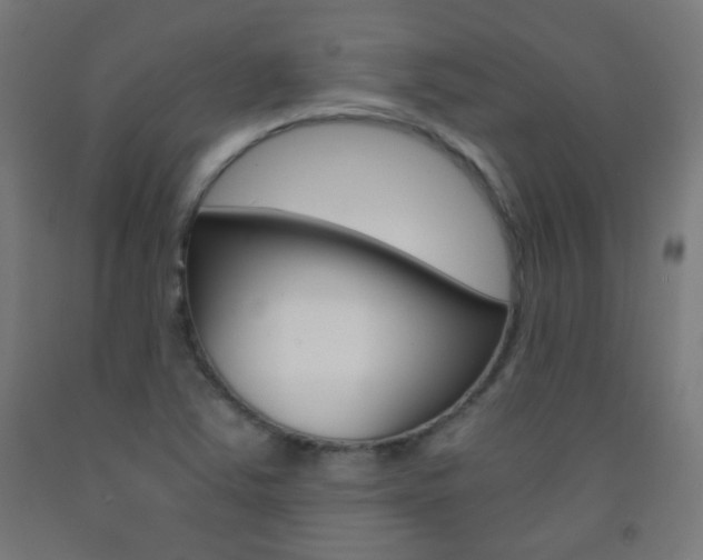 X0000093231363200709261500