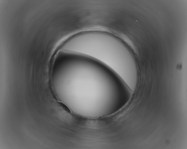 X0000093231364200709261500