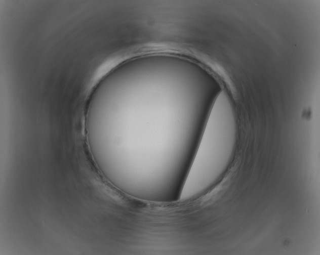 X0000093231365200709261500