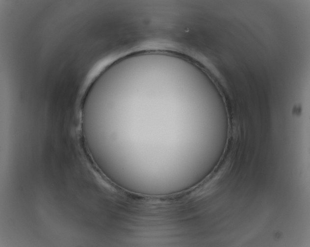 X0000093231366200709261500