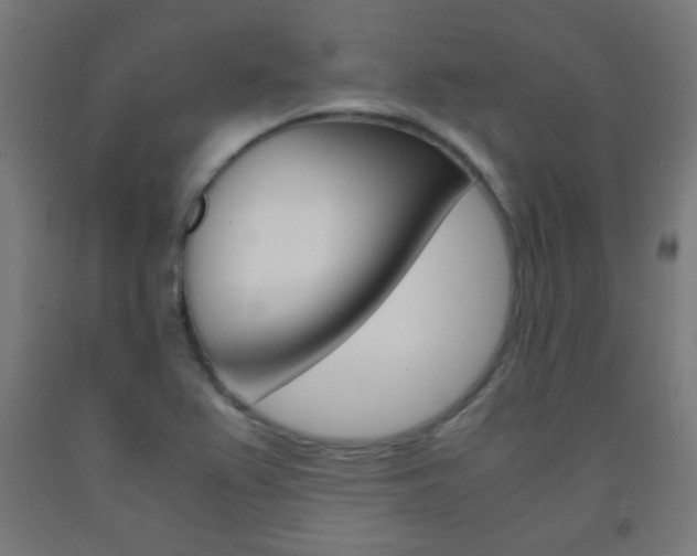 X0000093231367200709261500