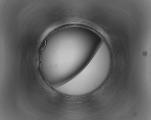 X0000093231368200709261500