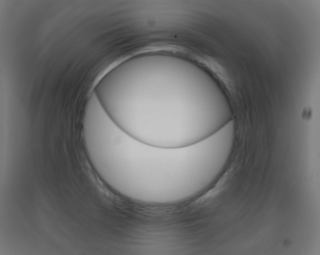 X0000093231369200709261500