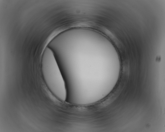 X0000093231370200709261500