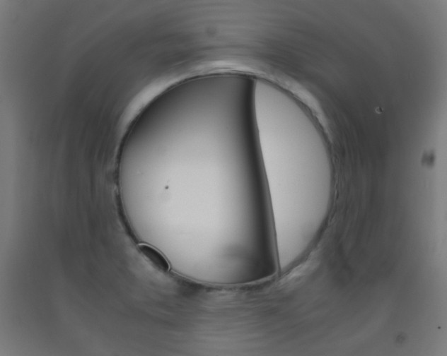 X0000093231373200709261500