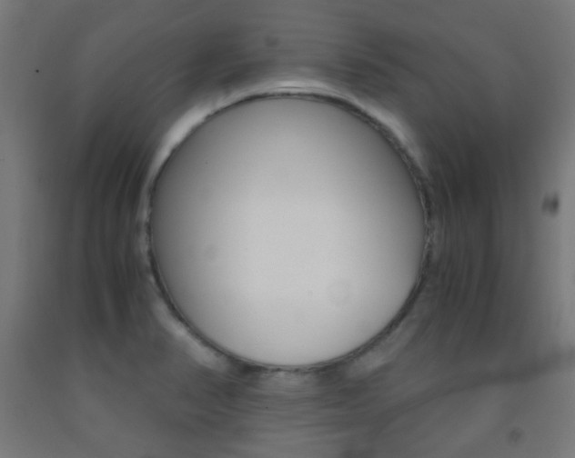 X0000093231374200709261500
