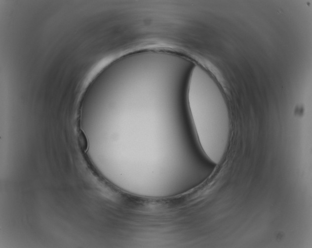 X0000093231375200709261500