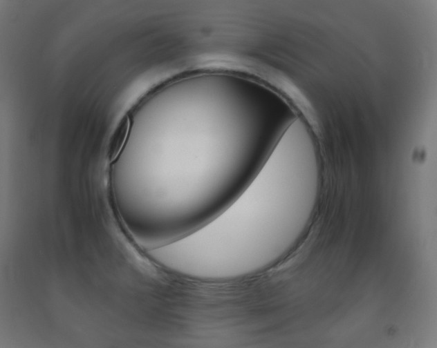 X0000093231376200709261500