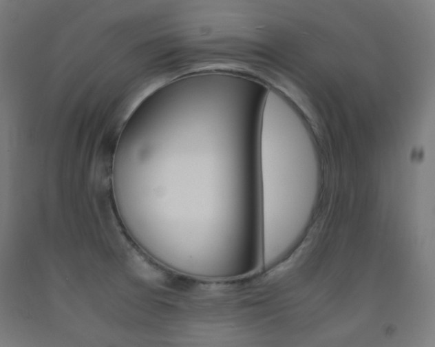 X0000093231377200709261500