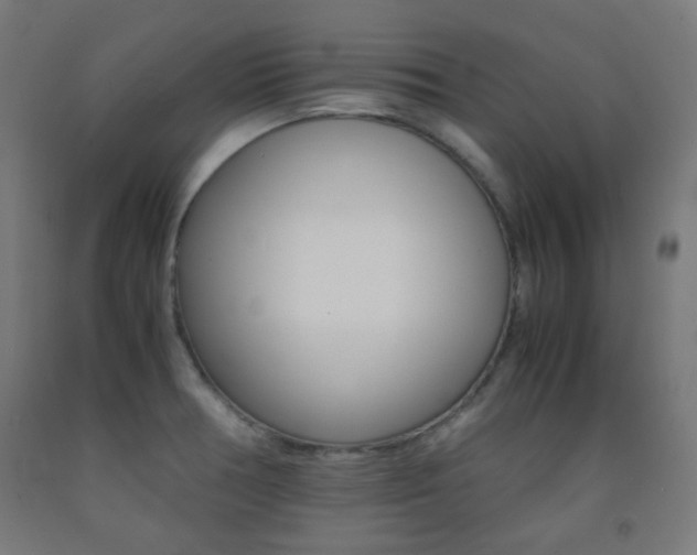 X0000093231378200709261500