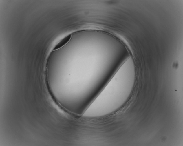 X0000093231379200709261500