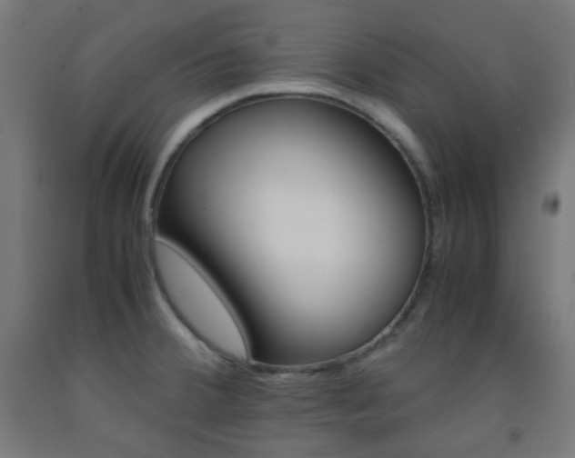 X0000093231380200709261500