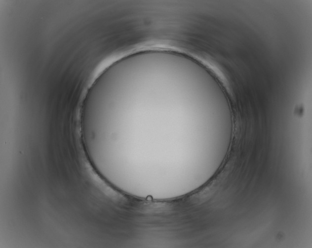 X0000093231382200709261500