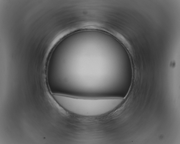X0000093231384200709261500