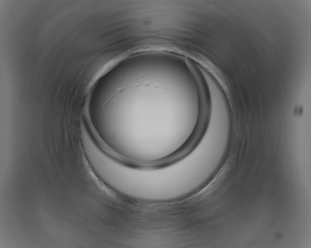 X0000093231385200709261500