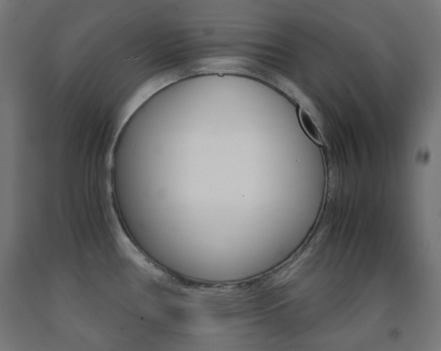 X0000093231386200709261500