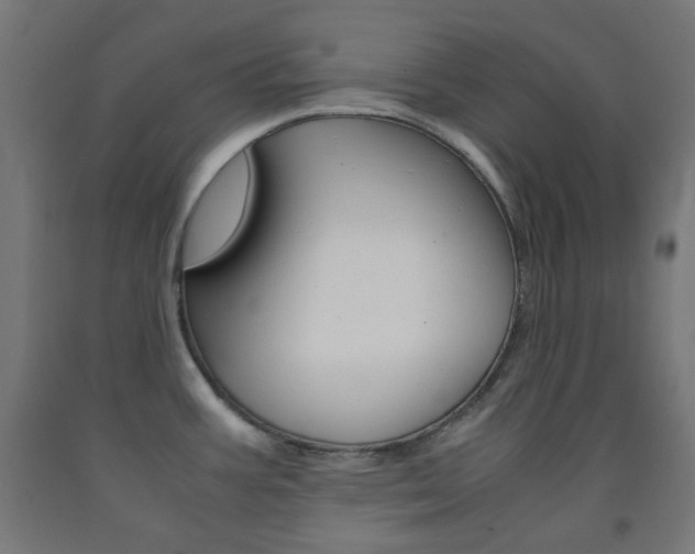 X0000093231387200709261500