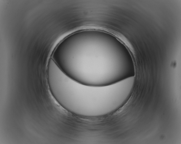 X0000093231388200709261500