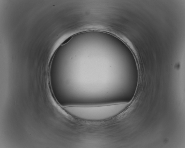 X0000093231389200709261500