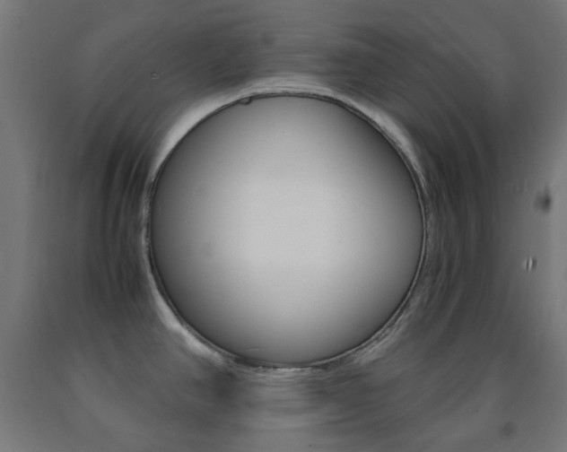 X0000093231390200709261500