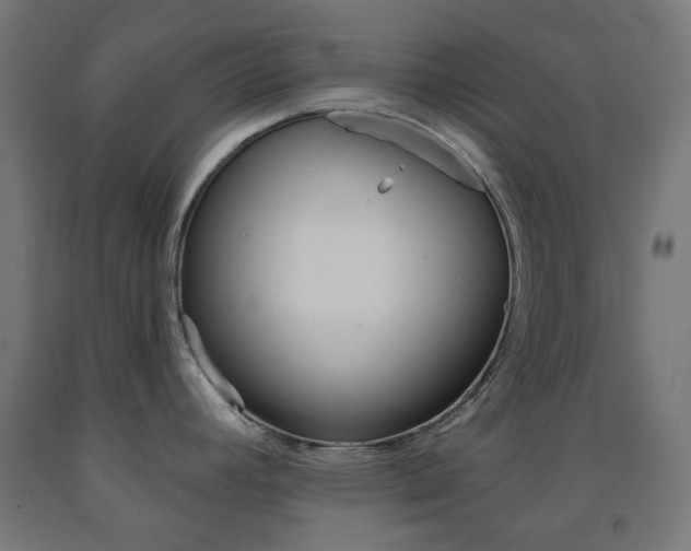 X0000093231392200709261500