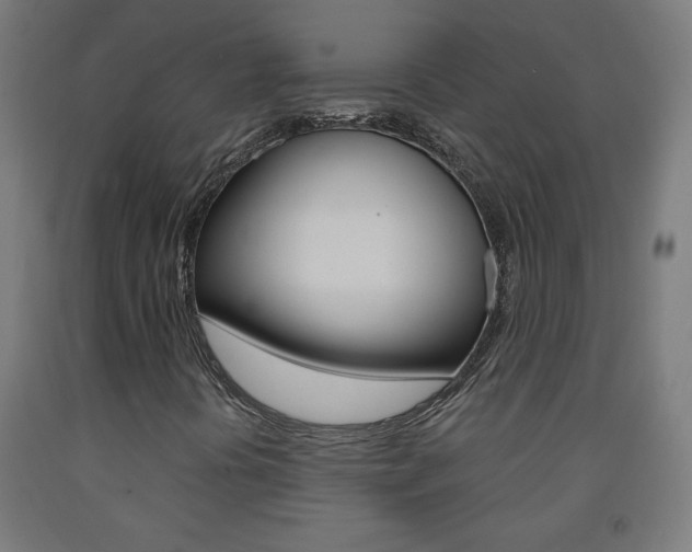X0000093231394200709261459