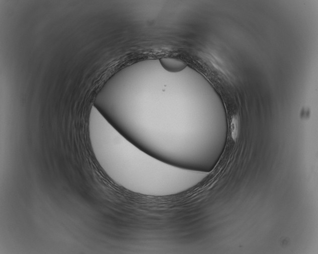 X0000093231395200709261459