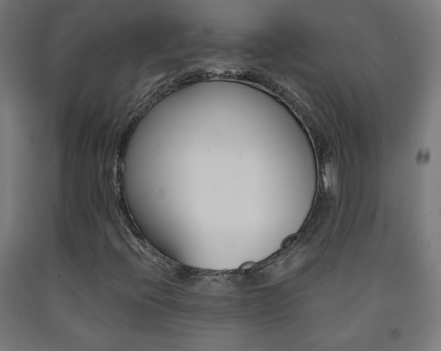 X0000093231396200709261459