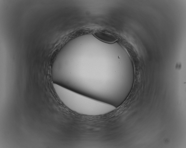 X0000093231397200709261459