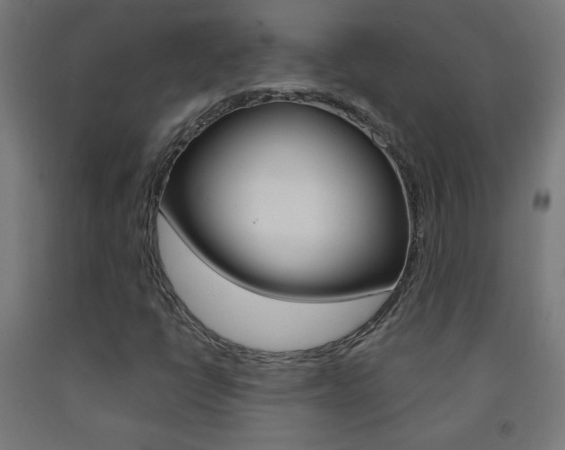 X0000093231398200709261459