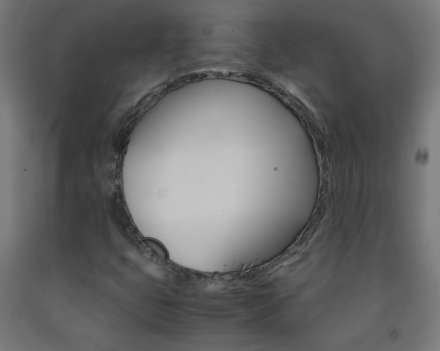 X0000093231399200709261459