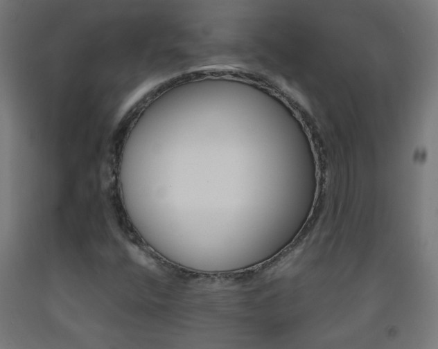 X0000093231400200709261459