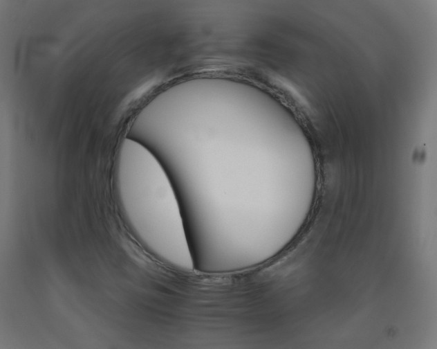 X0000093231403200709261500