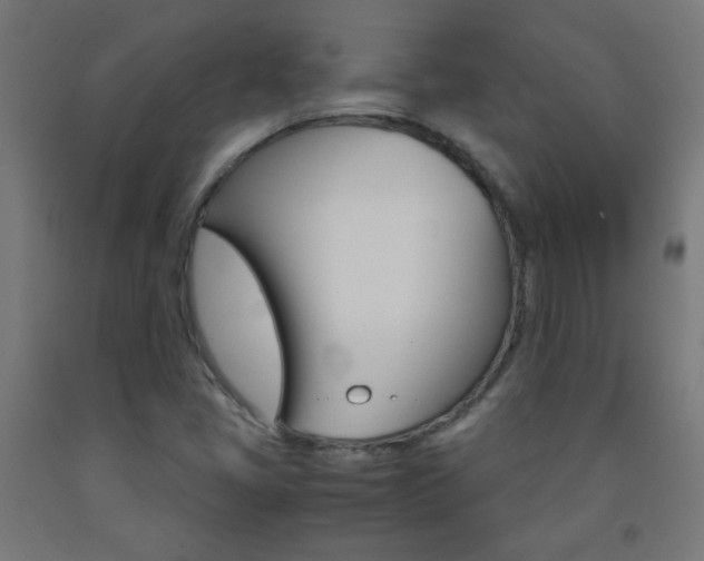 X0000093231405200709261500