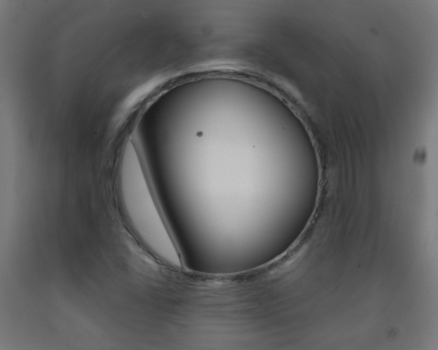 X0000093231406200709261500