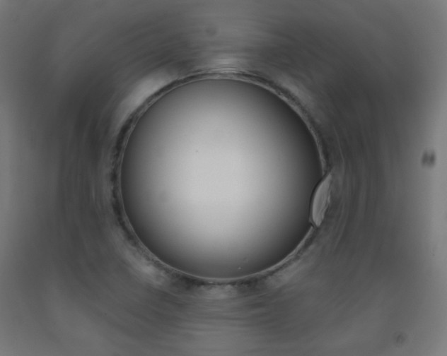X0000093231410200709261500