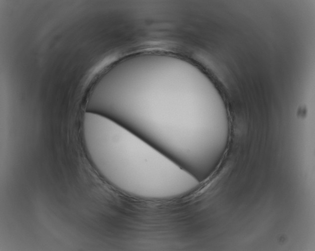 X0000093231411200709261500