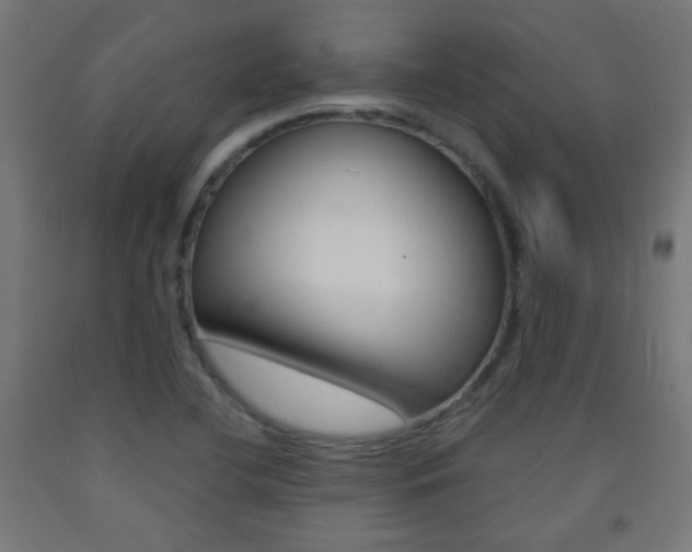 X0000093231412200709261500
