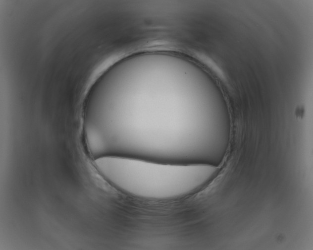X0000093231413200709261500
