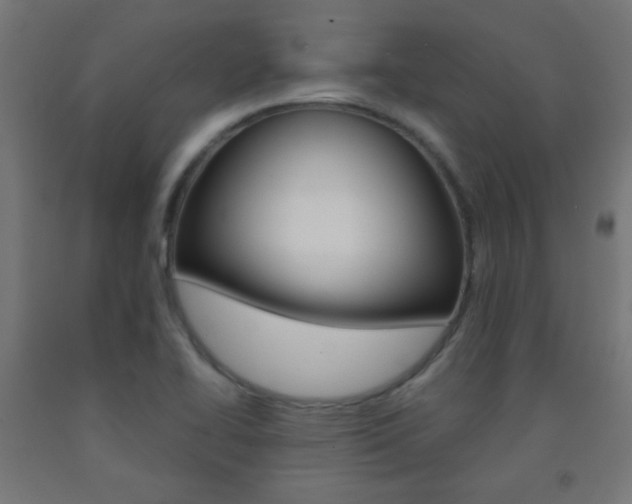 X0000093231414200709261500
