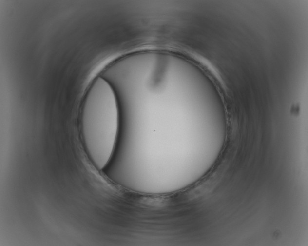 X0000093231415200709261500