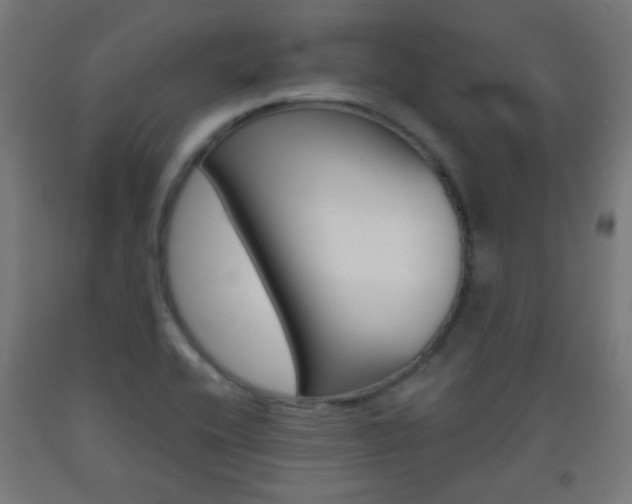 X0000093231416200709261500