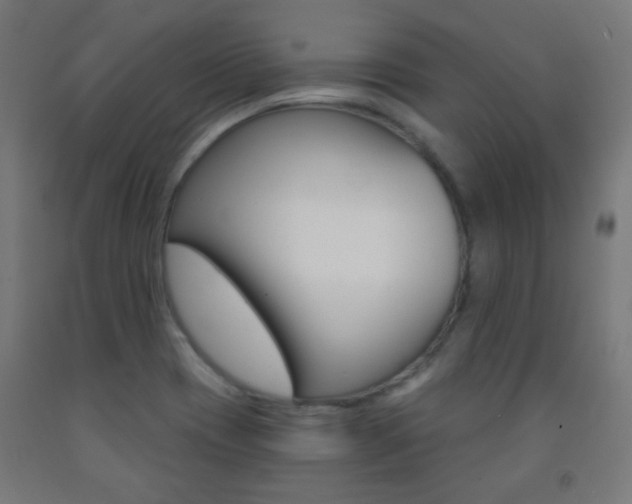 X0000093231417200709261500